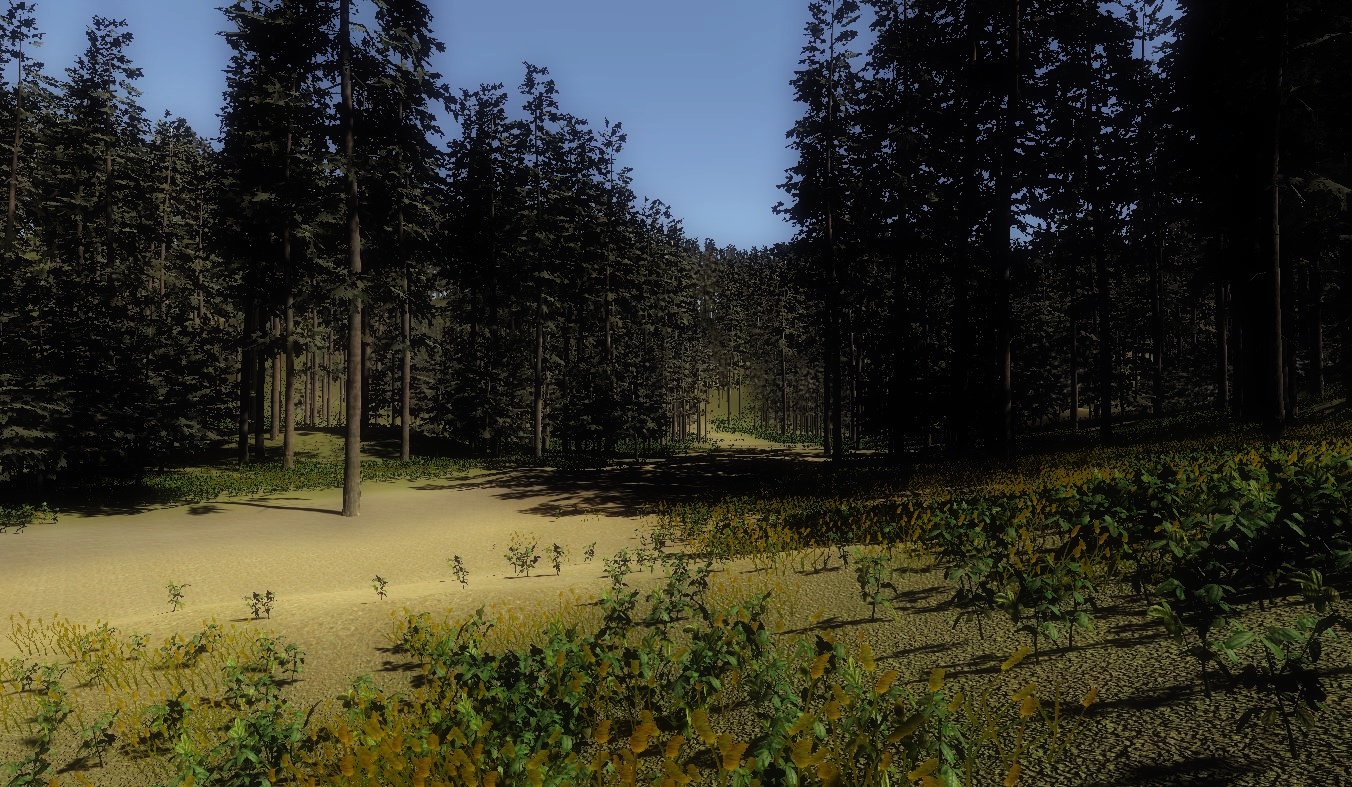 Forest with Unity cover